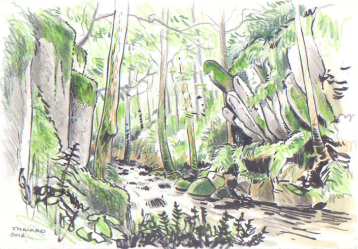 Feutre pinceau - crayon de couleur et marker - Prismes basaltiques - Haute-Loire