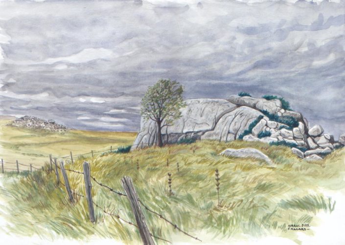 Plateau de l'Aubrac
